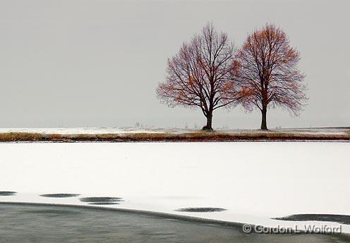 Trees Beside Freezing Pond_11381.jpg - Photographed at Ottawa, Ontario - the capital of Canada.